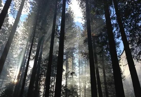 Earn rewards with exclusive benefits